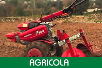 agricola